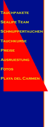 dive shop playa del carmen diving dive training certification mexico