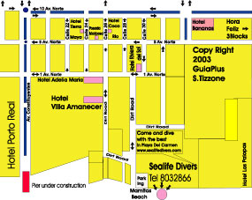 playa del carmen mexico map