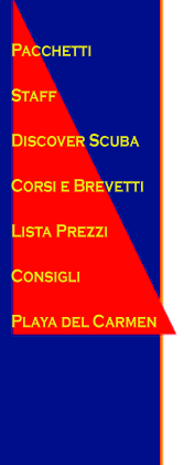 dive shop playa del carmen diving dive training certification mexico