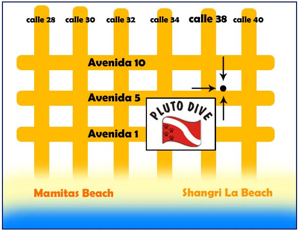 location of sealife divers and divingplayadelcarmen.com