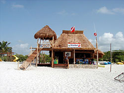 dive shop playa del carmen mexico diving