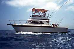 fishing playa del carmen mexico